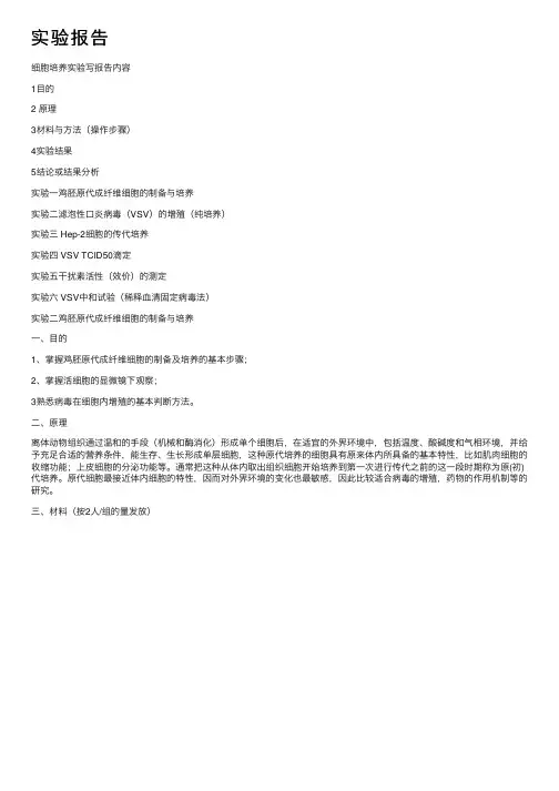 实验报告——精选推荐