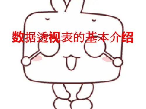 数据透视表的基本介绍