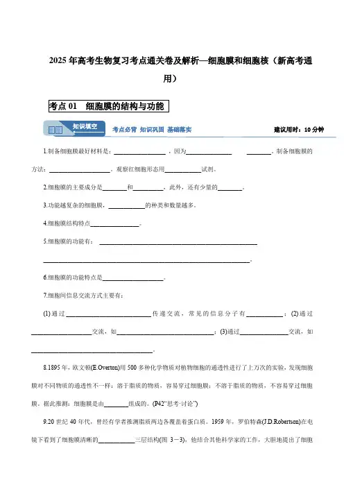 2025年高考生物复习考点通关卷及解析—细胞膜和细胞核(新高考通用)