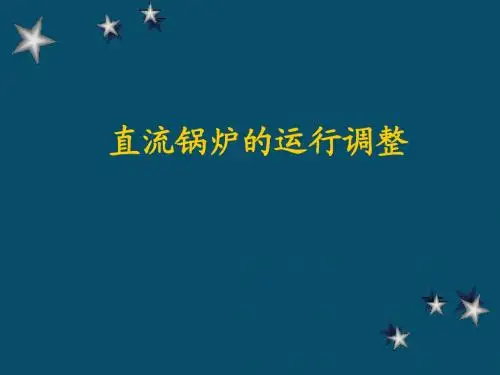 直流锅炉的运行调节