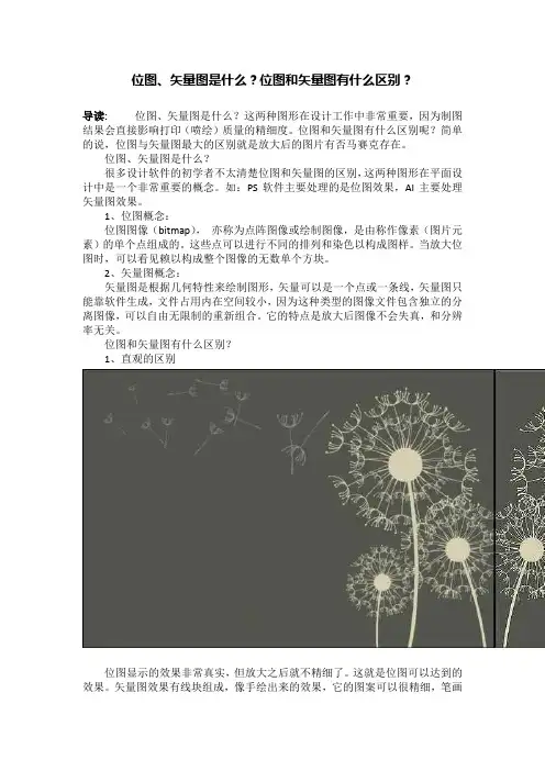 位图、矢量图是什么？位图和矢量图有什么区别？
