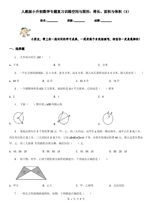 人教版小升初数学专题复习训练空间与图形：周长、面积与体积(3)
