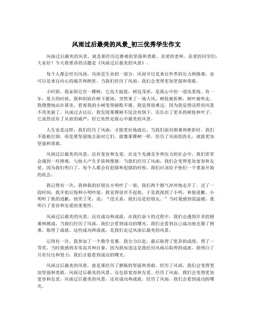 风雨过后最美的风景_初三优秀学生作文