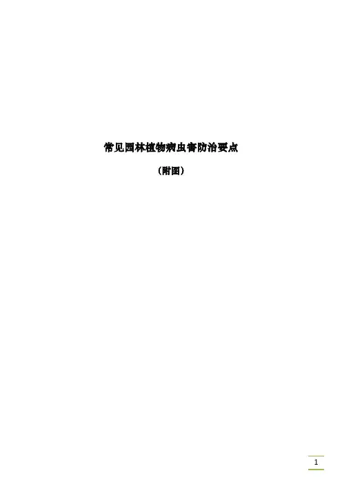 常见园林植物病虫害防治要点(图文版)