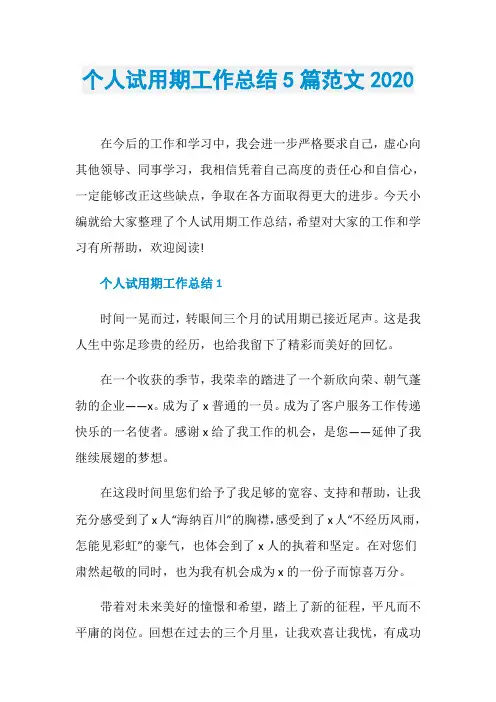 个人试用期工作总结5篇范文2020