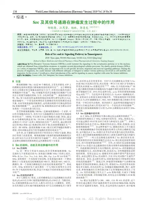 Src 及其信号通路在肿瘤发生过程中的作用