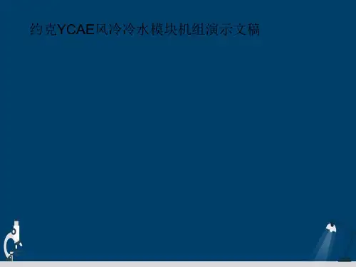 约克YCAE风冷冷水模块机组演示文稿