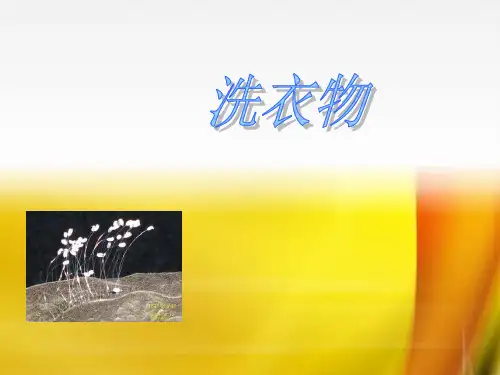 洗衣物ppt课件小学劳动技术苏科课标版四年级上册课件