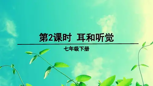 七年级生物下册教学课件《耳和听觉》