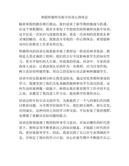 寒假师德师风集中培训心得体会