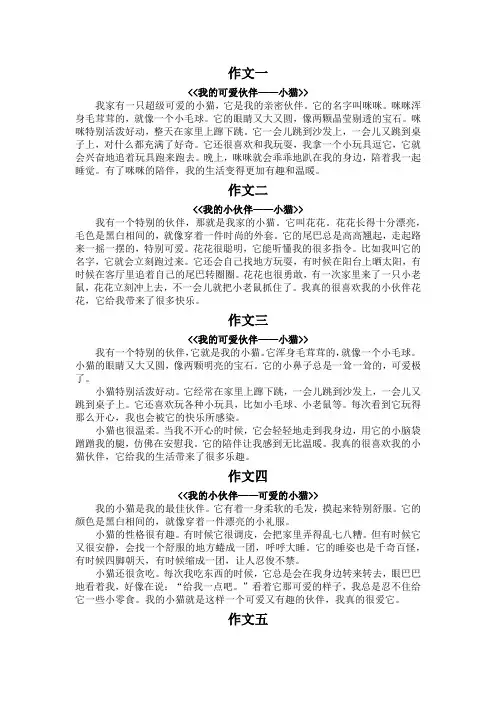 我的伙伴小猫300字作文