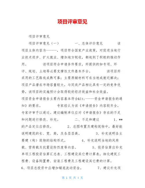 项目评审意见