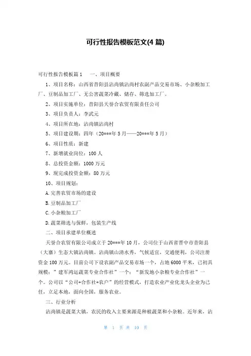 可行性报告模板范文(4篇)