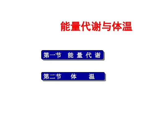 生理学PPT：能量代谢与体温