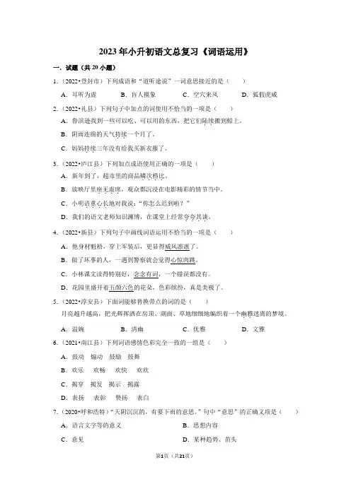 2023年小升初语文总复习《词语运用》(附答案解析)