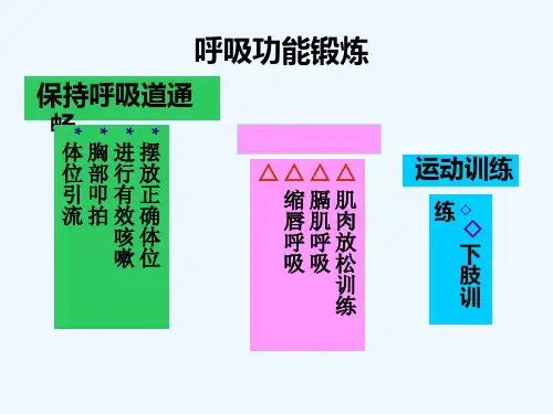 呼吸功能锻炼 ppt课件