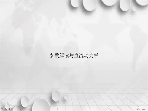 参数解读与血流动力学讲课文档