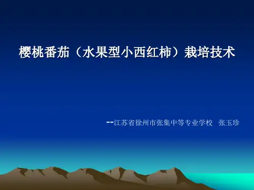 番茄栽培技术课件分析