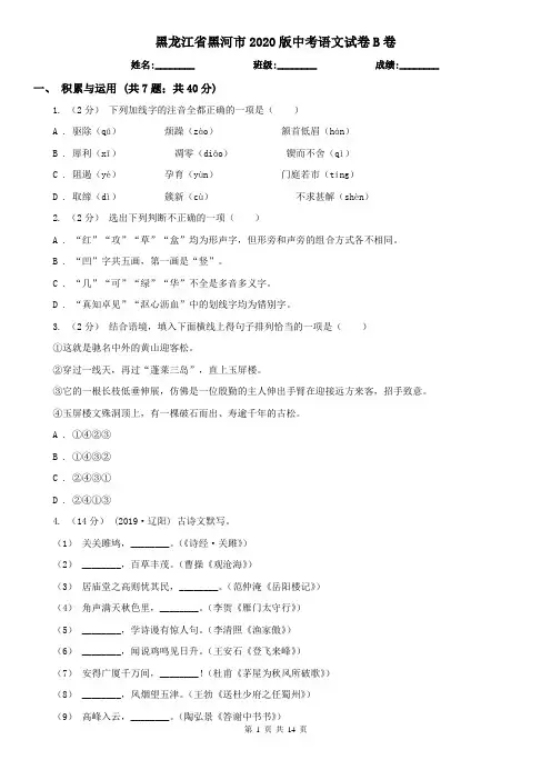 黑龙江省黑河市2020版中考语文试卷B卷