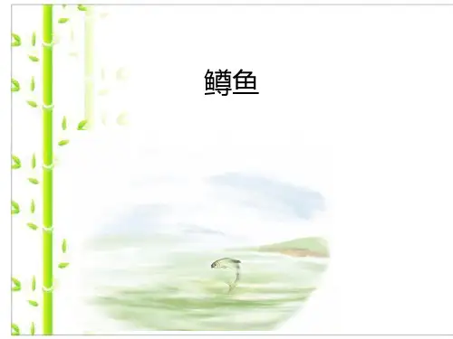 新人教版九年级上册音乐课件   第2单元： 鳟鱼(共17张PPT).ppt