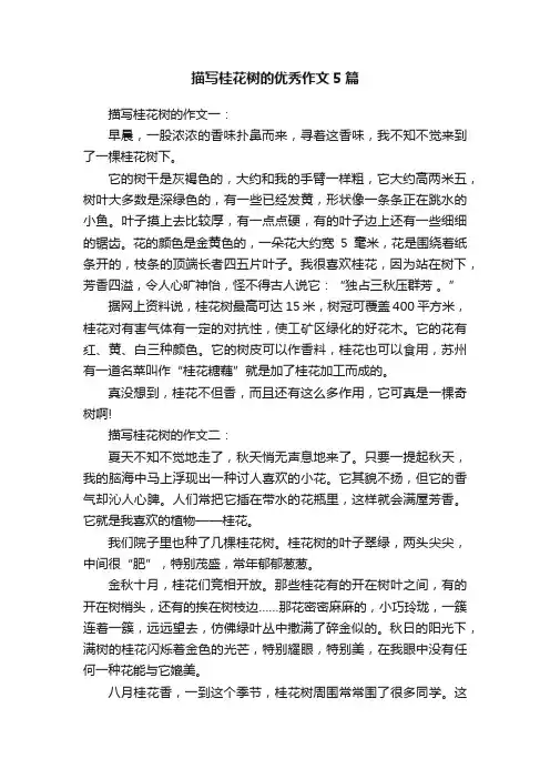 描写桂花树的优秀作文5篇