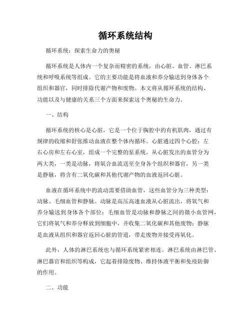 循环系统结构