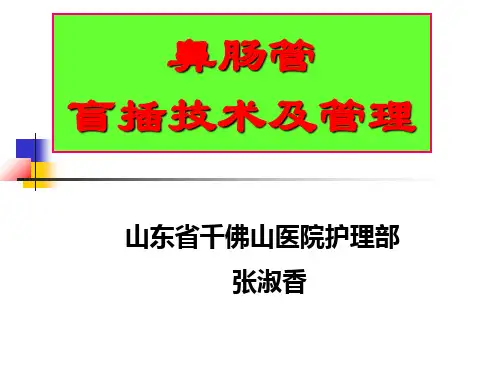 鼻肠管床旁盲插技术 ppt课件