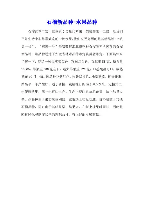 石榴新品种 - 水果品种