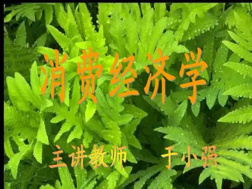 消费经济学(第一章)