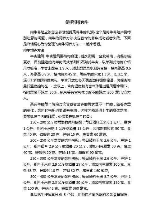 怎样饲养肉牛