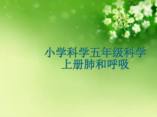小学科学五年级科学上册肺和呼吸优秀课件