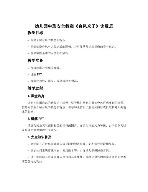 幼儿园中班安全教案《台风来了》含反思