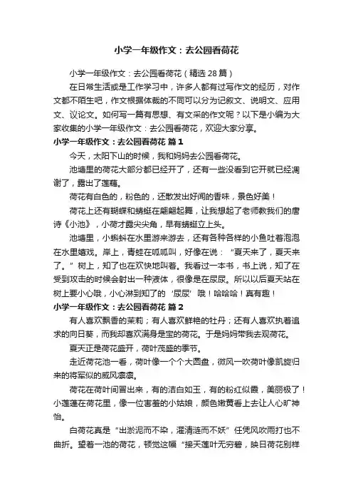 小学一年级作文：去公园看荷花（精选28篇）