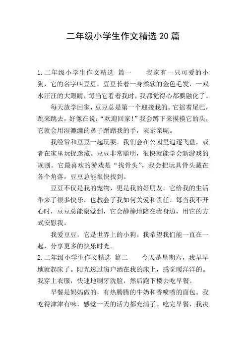 二年级小学生作文精选20篇