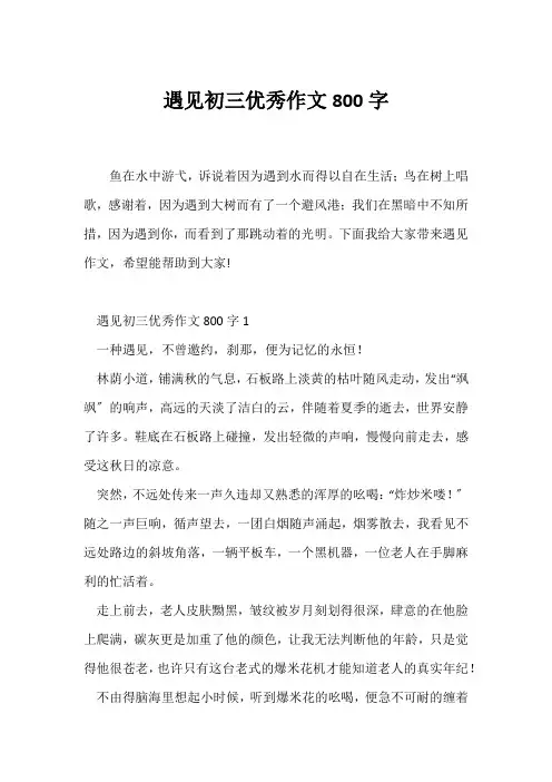 (初三作文)遇见初三优秀作文800字