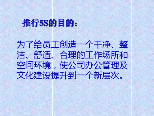 精选5S实战培训教材PPT45页