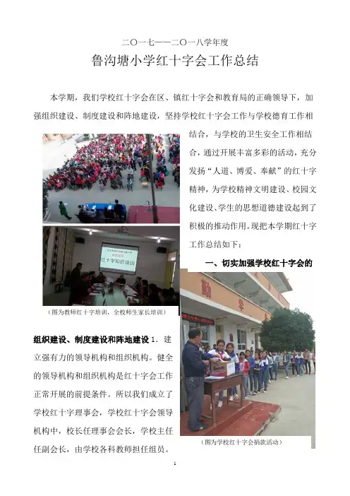 学校红十字会工作总结 2