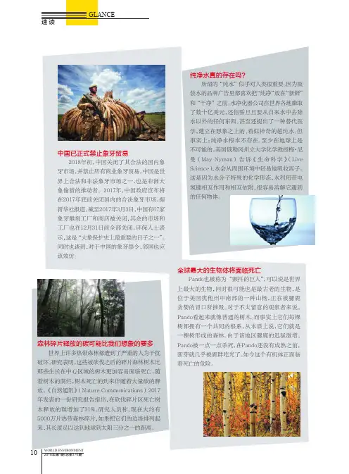 中国已正式禁止象牙贸易