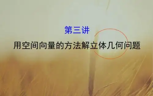 2018届高三数学理二轮复习课件：专题五 立体几何1.5.3