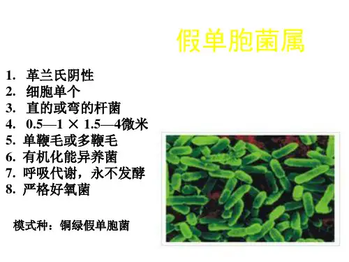 铜绿假单胞菌解析