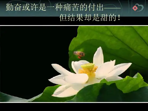 落枕