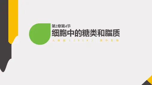 生物人教版(2019)必修一2.4细胞中的糖类和脂质(共17张ppt)