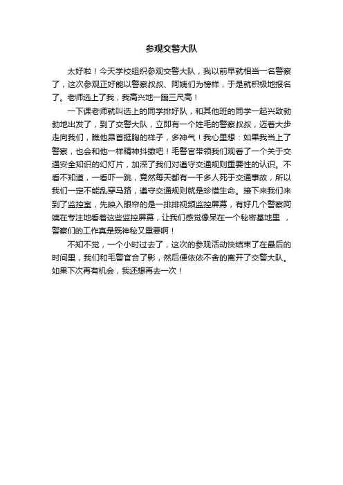 参观交警大队
