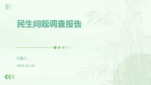 民生问题调查报告