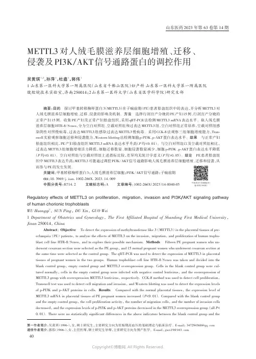 METTL3_对人绒毛膜滋养层细胞增殖、迁移、侵袭及PI3K