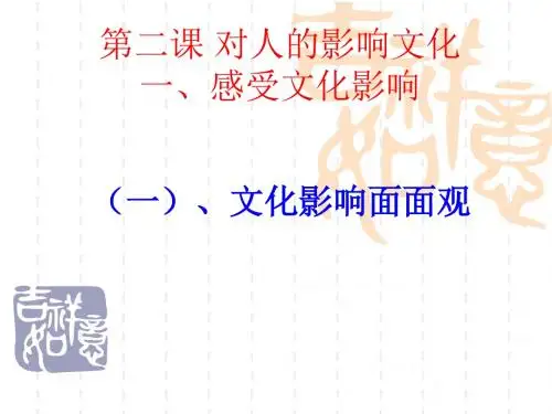 感受文化的影响PPT课件 人教版