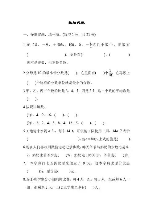 人教版六年级数学下册期末专项复习数与代数测试卷