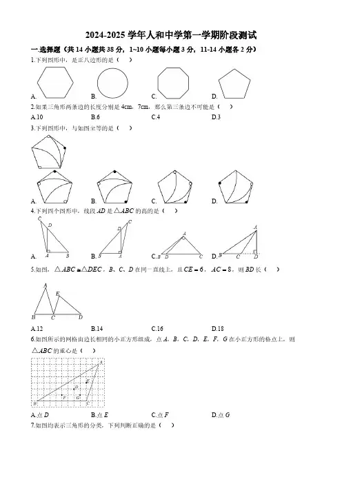河北省邯郸市人和中学2024~2025学年八年级上学期第一次月考数学试题(含答案)