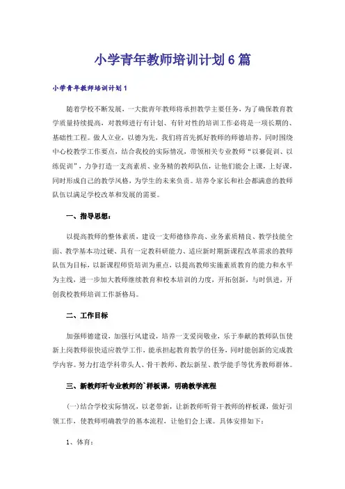 小学青年教师培训计划6篇