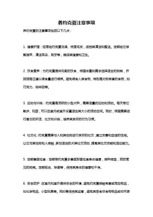 养约克夏注意事项